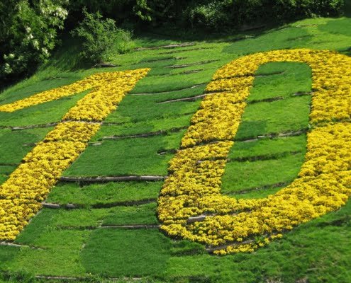Akupressurring 10 Regeln